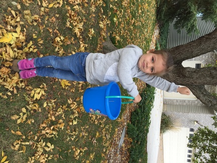 Filling up her bucket with leaves